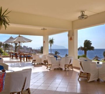 فندق هيلتون_شاركس_باي