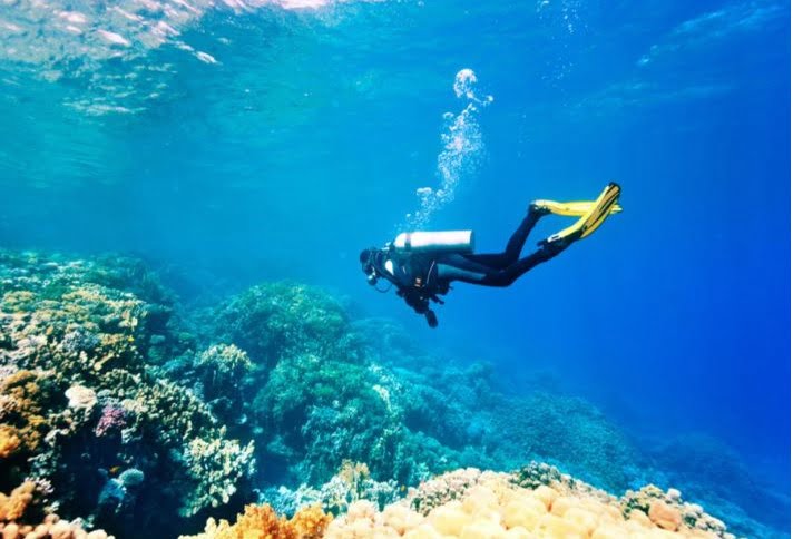 رحلات الغوص في البحر الأحمر