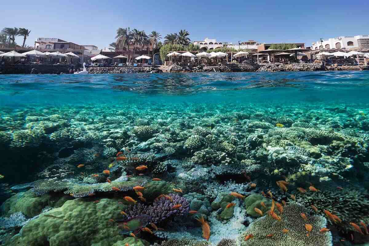 أفضل شواطئ دهب