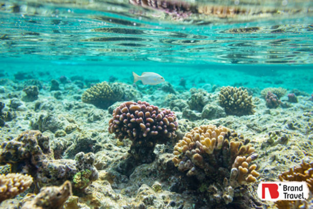 رحلات شهر العسل في مصر