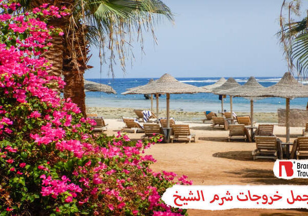 خروجات شرم الشيخ