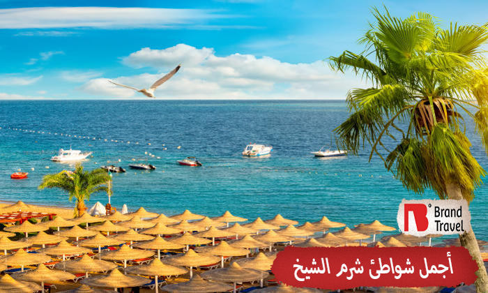 أجمل شواطيء شرم الشيخ